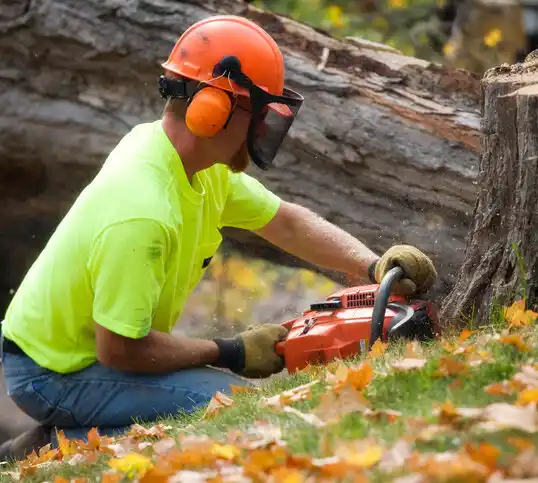 tree services Firth